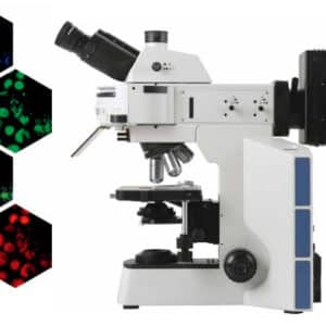 YCX40 Series Fluorescence Biological Microscope